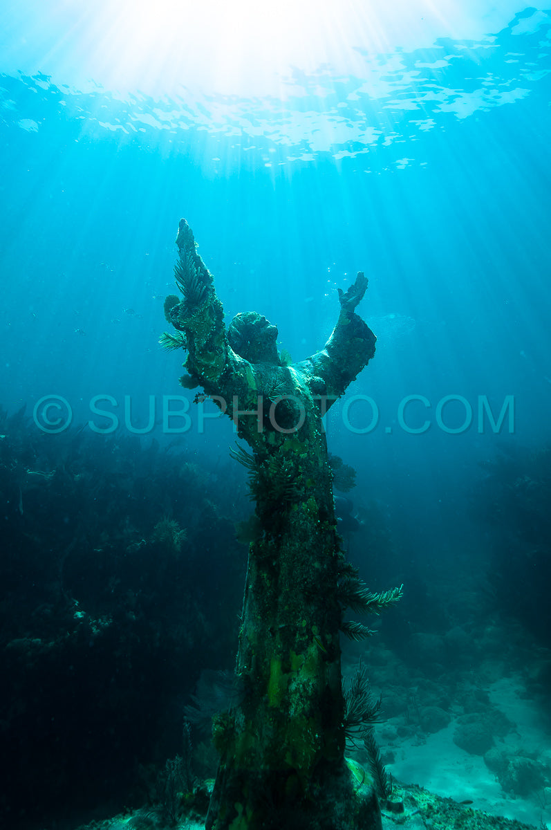 Photo de Statue du Christ de l'abîme dans les Keys de Floride
