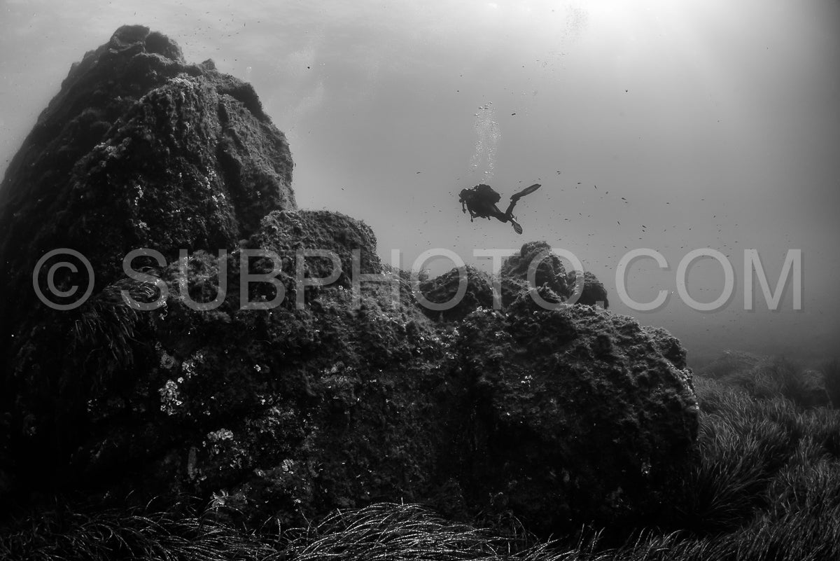 Photo de Femme faisant de la plongée sous-marine sur des rochers en Méditerranée