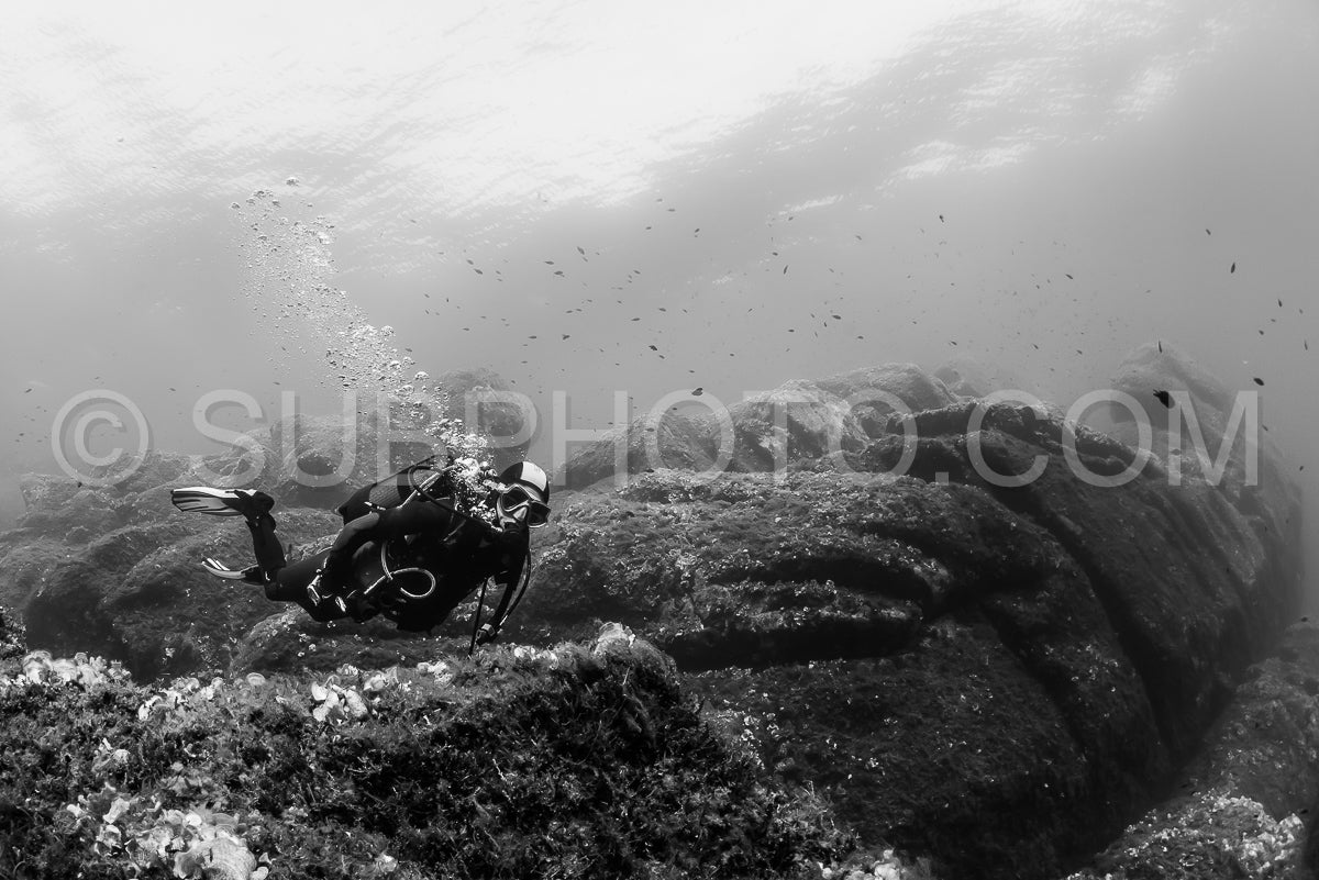 Photo de Femme faisant de la plongée sous-marine sur des rochers en Méditerranée