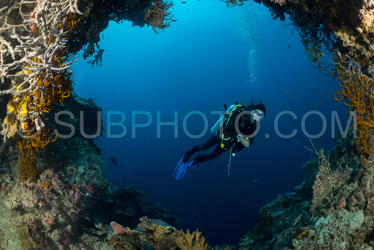 Photo de éventail de mer sur la pente d'un récif corallien avec un plongeur en profondeur