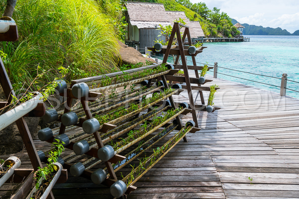 Photo de Station de plongée dans les Raja Ampat - Indonésie
