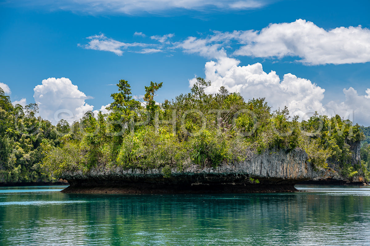 Photo de Waigeo- Kri- Mushroom Island- groupe de petites îles dans un lagon bleu peu profond- Raja Ampat- Papouasie occidentale- Indonésie