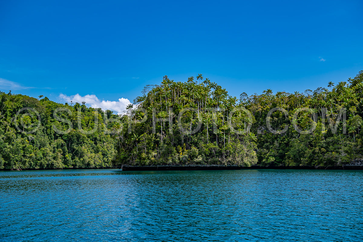 Photo de Waigeo- Kri- Mushroom Island- groupe de petites îles dans un lagon bleu peu profond- Raja Ampat- Papouasie occidentale- Indonésie