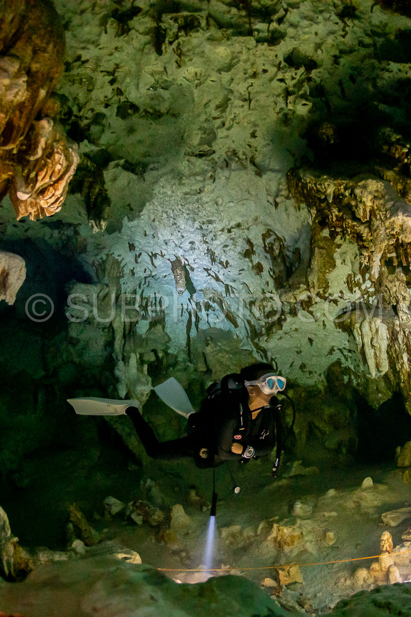 Photo de instructeur de plongée spéléo dirigeant un groupe de plongeurs dans un cenote mexicain sous l'eau
