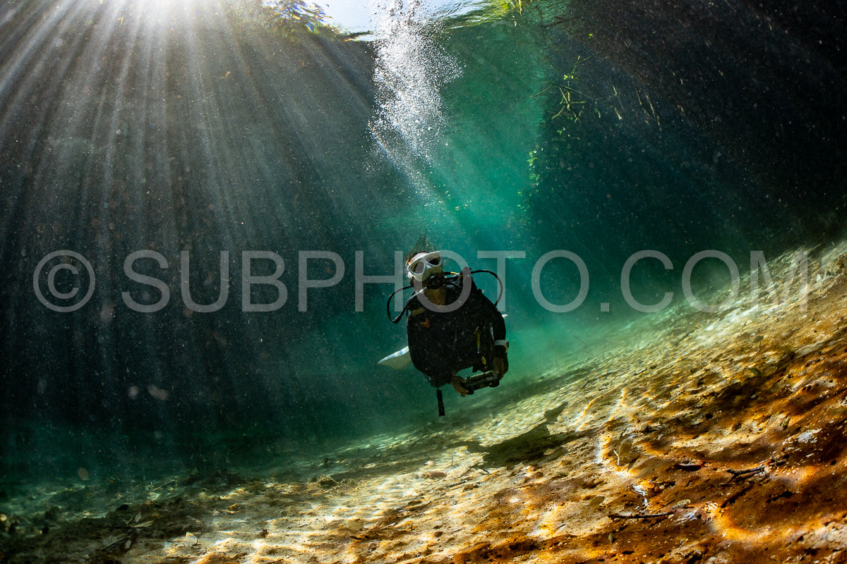 Photo de instructeur de plongée spéléo dirigeant un groupe de plongeurs dans un cenote mexicain sous l'eau