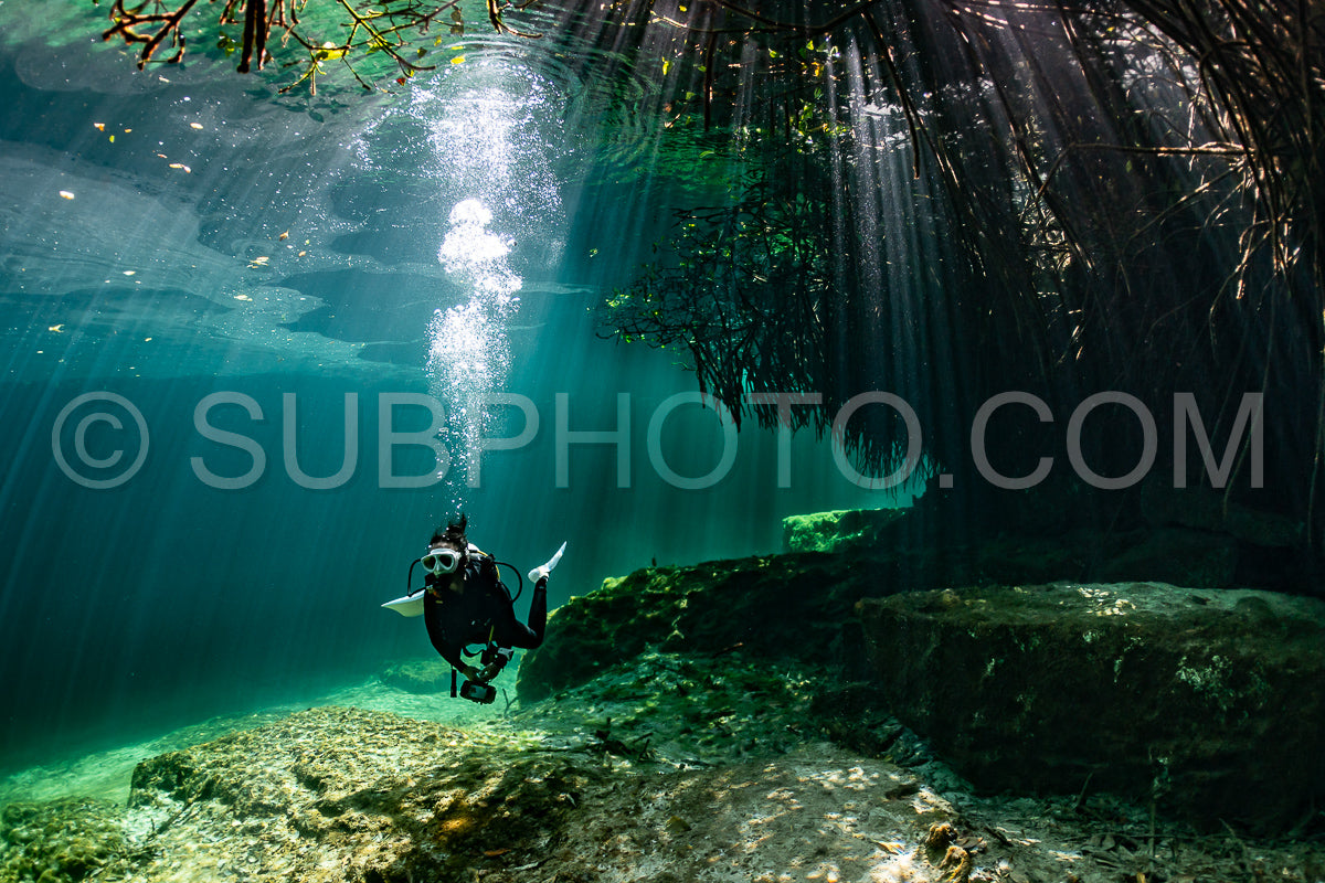 Photo de instructeur de plongée spéléo dirigeant un groupe de plongeurs dans un cenote mexicain sous l'eau