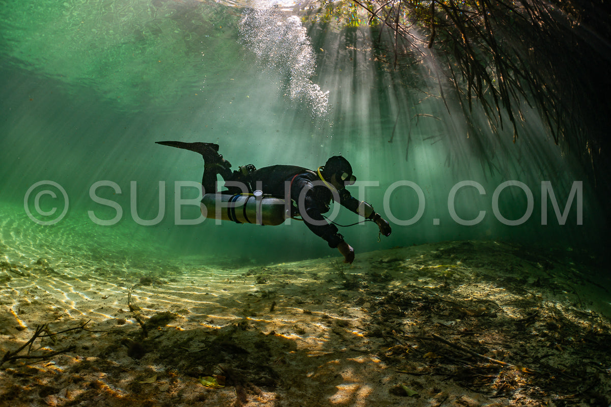 Photo de instructeur de plongée spéléo dirigeant un groupe de plongeurs dans un cenote mexicain sous l'eau