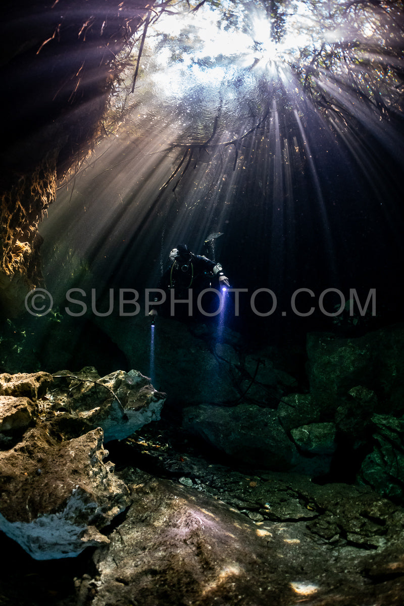 Photo de instructeur de plongée spéléo dirigeant un groupe de plongeurs dans un cenote mexicain sous l'eau