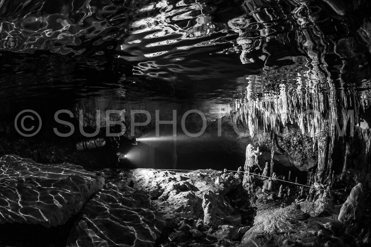 Photo de instructeur de plongée spéléo dirigeant un groupe de plongeurs dans un cenote mexicain sous l'eau