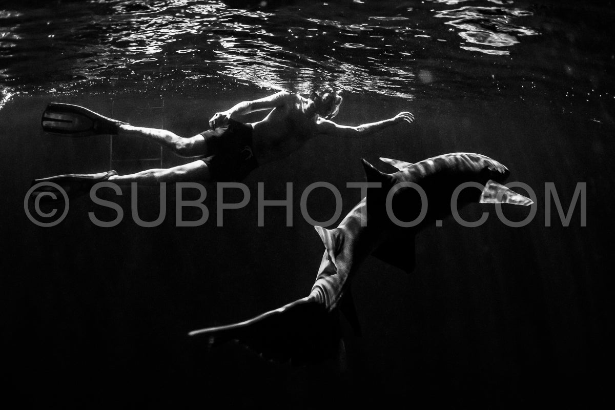 snorkeler swimming with nurse shark at night in the Maldives