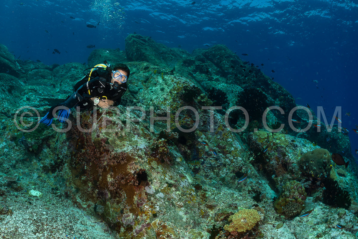 Photo de femme plongeuse découvrant la beauté du récif caral du parc national de Komodo en Indonésie