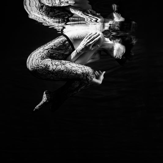 Animal n°3