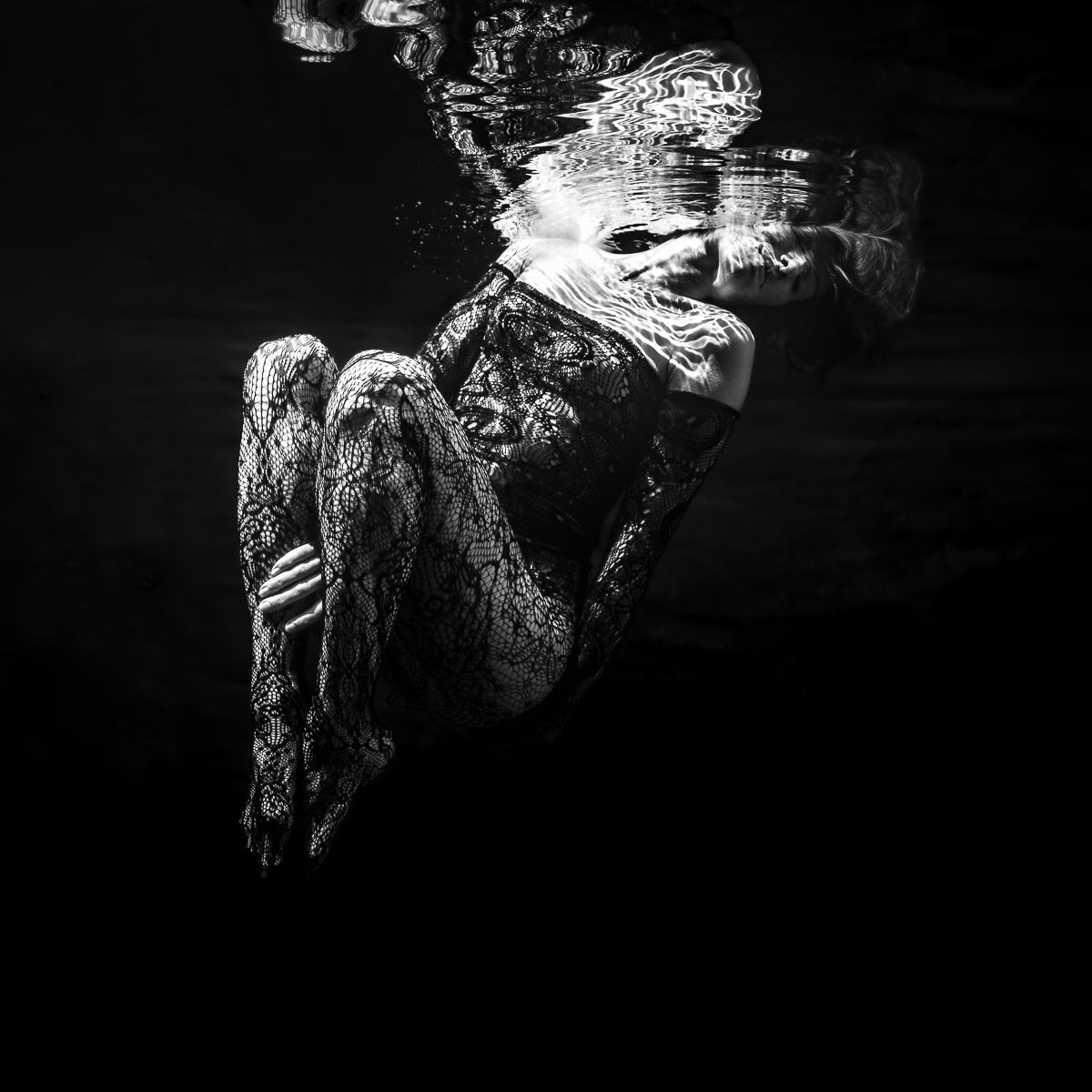 Animal n°4