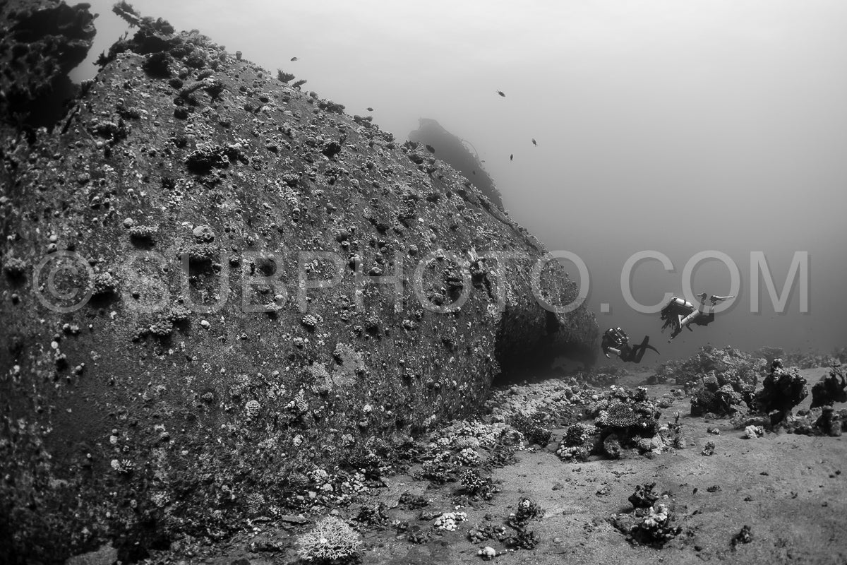 Three divers explore a shipwreck covered in coral- with a large opening in the side of the hull. There are several fish visible in the distance.