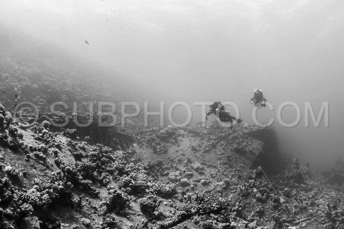 Two divers- using rebreathers- are exploring a coral reef in the Red Sea. The divers are moving past a rocky outcropping and are surrounded by a dense layer of coral.