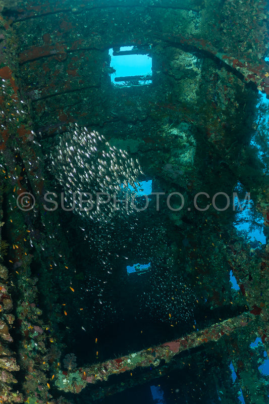 A diver using a rebreather swims inside a sunken ship in the Red Sea. Sunlight shines through the open windows of the ship- illuminating the diver and the surrounding fish.
