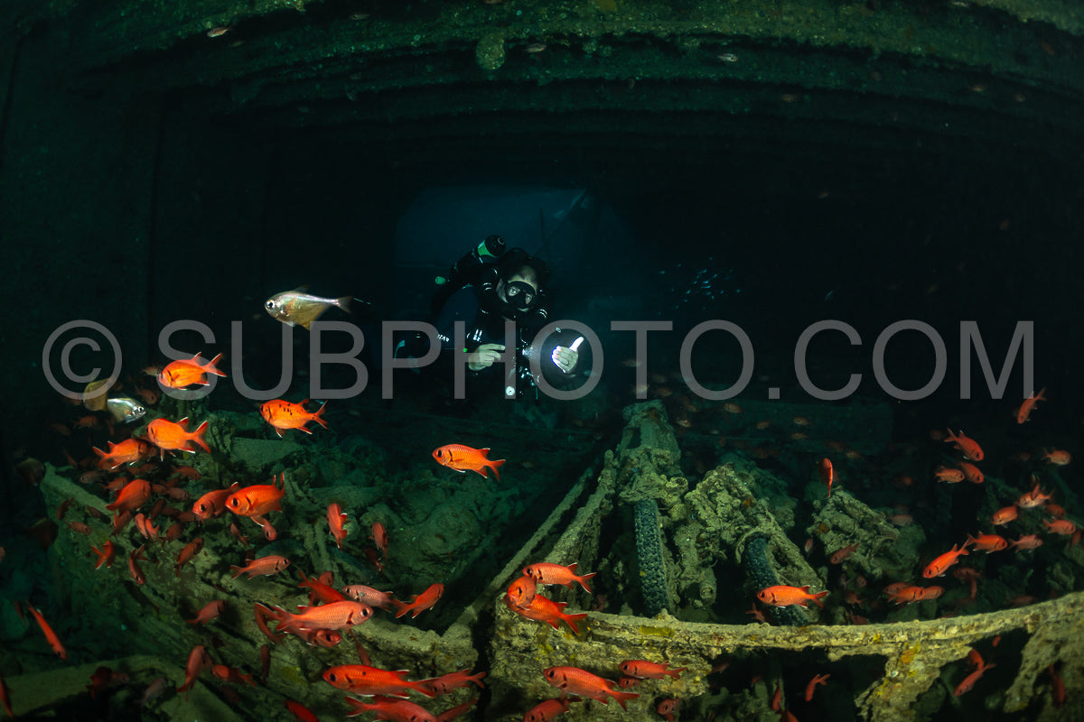 A scuba diver wearing a rebreather explores a sunken shipwreck in the Red Sea. They are surrounded by a school of orange fish swimming in the murky water.