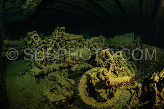A rusty motorcycle lies on the seafloor of the Red Sea- covered in algae and marine growth.