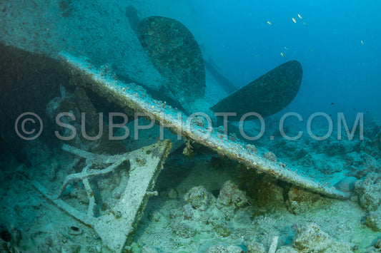 The image shows the propeller of a sunken ship- covered in marine life. The ship's hull is visible in the background- with the blue water of the Red Sea above.