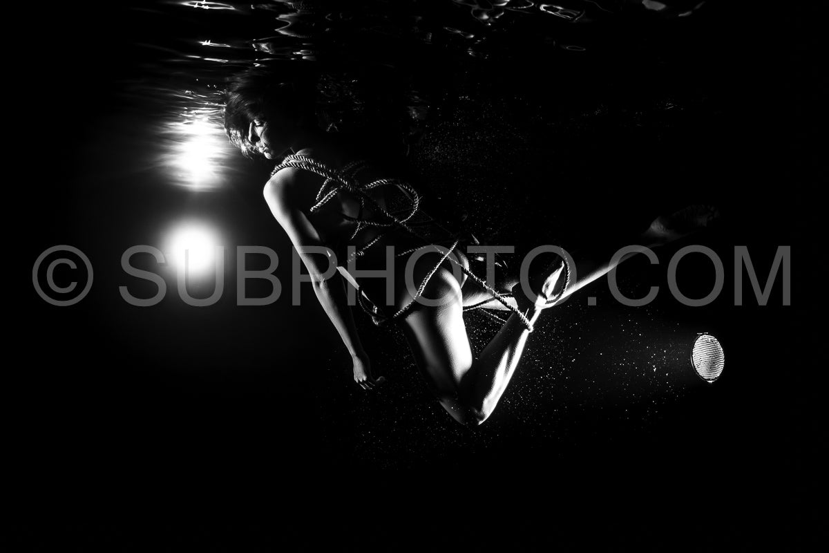 Entre-Ombres-Et-Lumieres-14