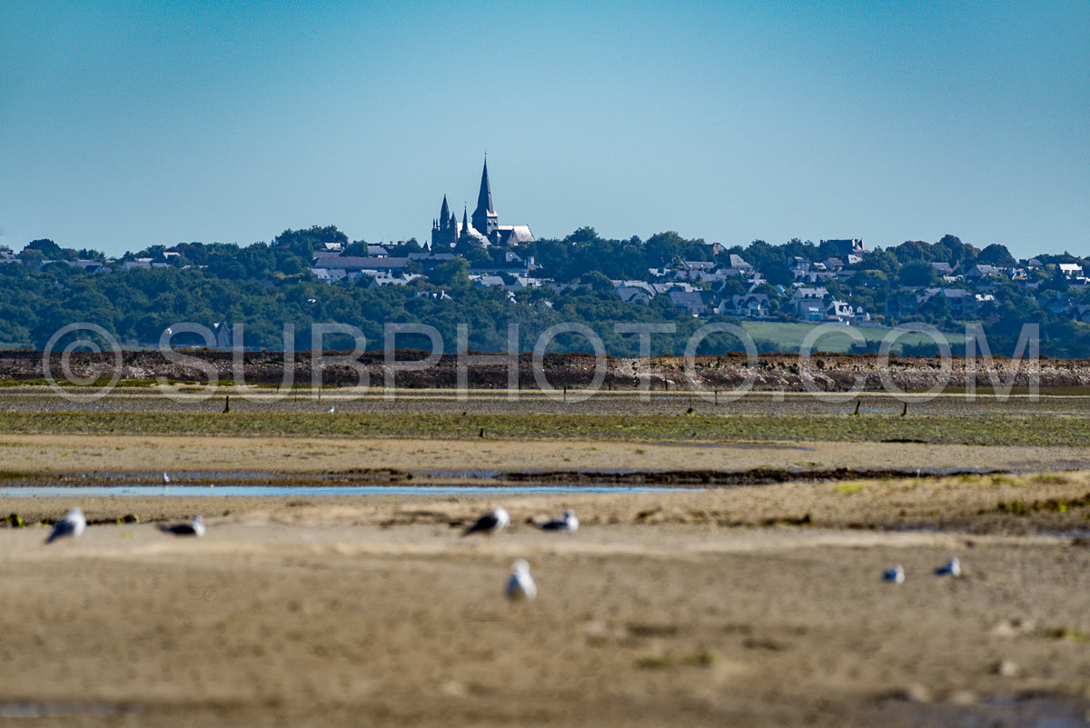 Collegiale Saint-Aubin of GuÃ©rande viewed from the sea