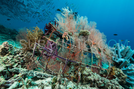 Photo de récif artificiel créé par l'homme avec des structures métalliques et du béton pour aider la vie marine à récupérer la zone détruite