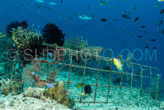 Photo de récif artificiel créé par l'homme avec des structures métalliques et du béton pour aider la vie marine à récupérer la zone détruite
