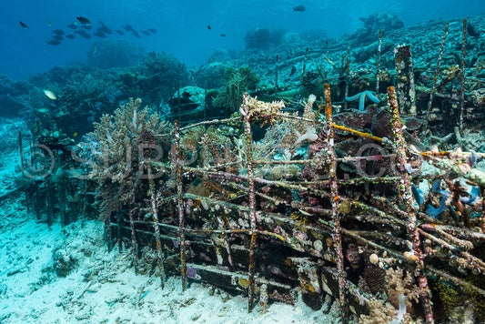 Photo de récif artificiel créé par l'homme avec des structures métalliques et du béton pour aider la vie marine à récupérer la zone détruite