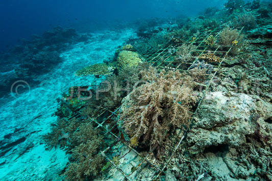 Photo de récif artificiel créé par l'homme avec des structures métalliques et du béton pour aider la vie marine à récupérer la zone détruite