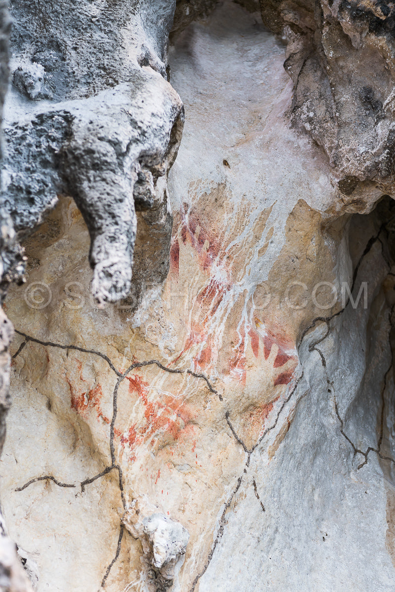 Photo de Peintures rupestres préhistoriques de pétroglyphes à Misool- Raja Ampat- Papouasie occidentale- Indonésie