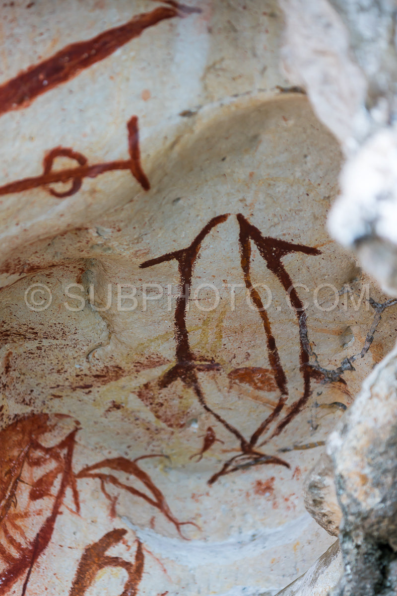 Photo de Peintures rupestres préhistoriques de pétroglyphes à Misool- Raja Ampat- Papouasie occidentale- Indonésie