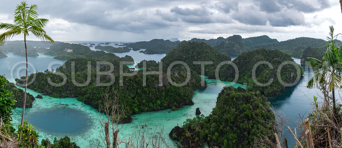 Photo de East Misool- groupe de petites îles dans un lagon bleu peu profond- Raja Ampat- Papouasie occidentale- Indonésie