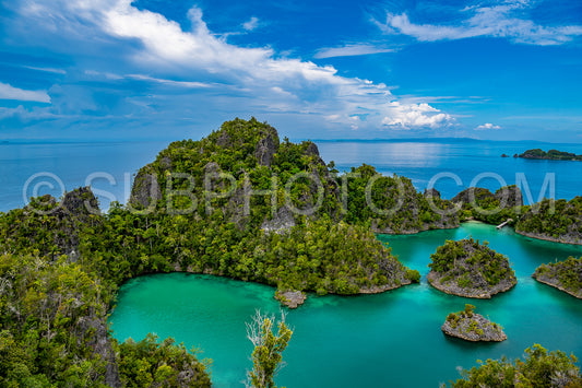 Photo de Waigeo- Kri- Mushroom Island- groupe de petites îles dans un lagon bleu peu profond- Raja Ampat- Papouasie occidentale- Indonésie