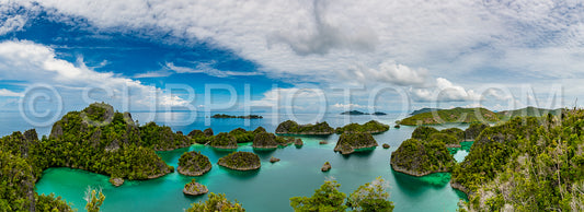 Photo de Waigeo- Kri- Mushroom Island- groupe de petites îles dans un lagon bleu peu profond- Raja Ampat- Papouasie occidentale- Indonésie