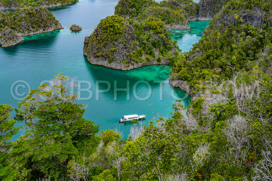 Photo de Waigeo- Kri- Mushroom Island- groupe de petites îles dans un lagon bleu peu profond- Raja Ampat- Papouasie occidentale- Indonésie