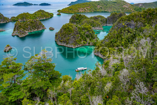 Photo de Waigeo- Kri- Mushroom Island- groupe de petites îles dans un lagon bleu peu profond- Raja Ampat- Papouasie occidentale- Indonésie
