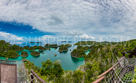 Photo de Waigeo- Kri- Mushroom Island- groupe de petites îles dans un lagon bleu peu profond- Raja Ampat- Papouasie occidentale- Indonésie