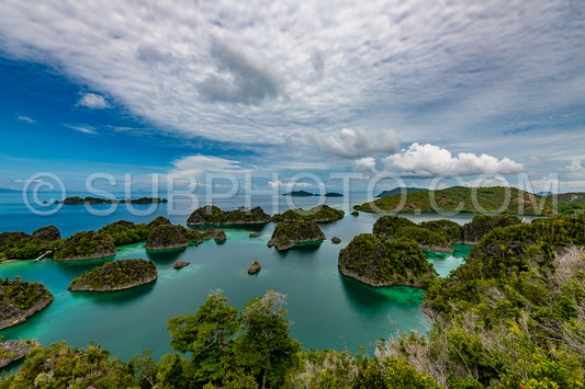 Photo de Waigeo- Kri- Mushroom Island- groupe de petites îles dans un lagon bleu peu profond- Raja Ampat- Papouasie occidentale- Indonésie