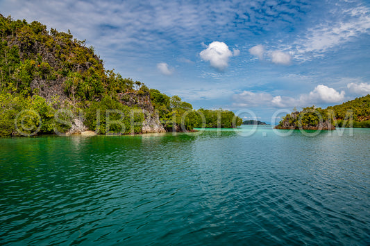 Photo de Waigeo- Kri- Mushroom Island- groupe de petites îles dans un lagon bleu peu profond- Raja Ampat- Papouasie occidentale- Indonésie