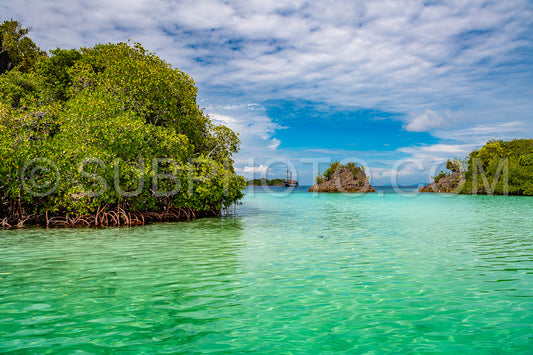 Photo de Waigeo- Kri- Mushroom Island- groupe de petites îles dans un lagon bleu peu profond- Raja Ampat- Papouasie occidentale- Indonésie