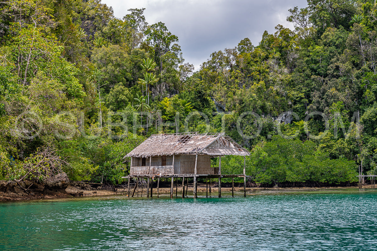 Photo de Waigeo- Kri- Mushroom Island- groupe de petites îles dans un lagon bleu peu profond- Raja Ampat- Papouasie occidentale- Indonésie