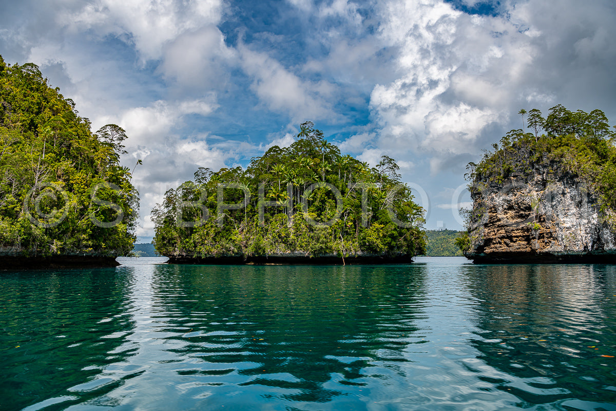 Photo de Waigeo- Kri- Mushroom Island- groupe de petites îles dans un lagon bleu peu profond- Raja Ampat- Papouasie occidentale- Indonésie
