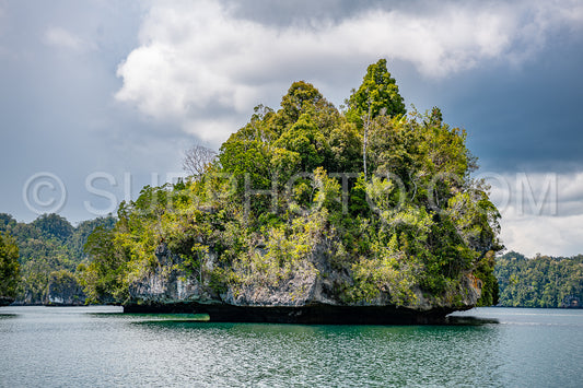 Photo de Waigeo- Kri- Mushroom Island- groupe de petites îles dans un lagon bleu peu profond- Raja Ampat- Papouasie occidentale- Indonésie