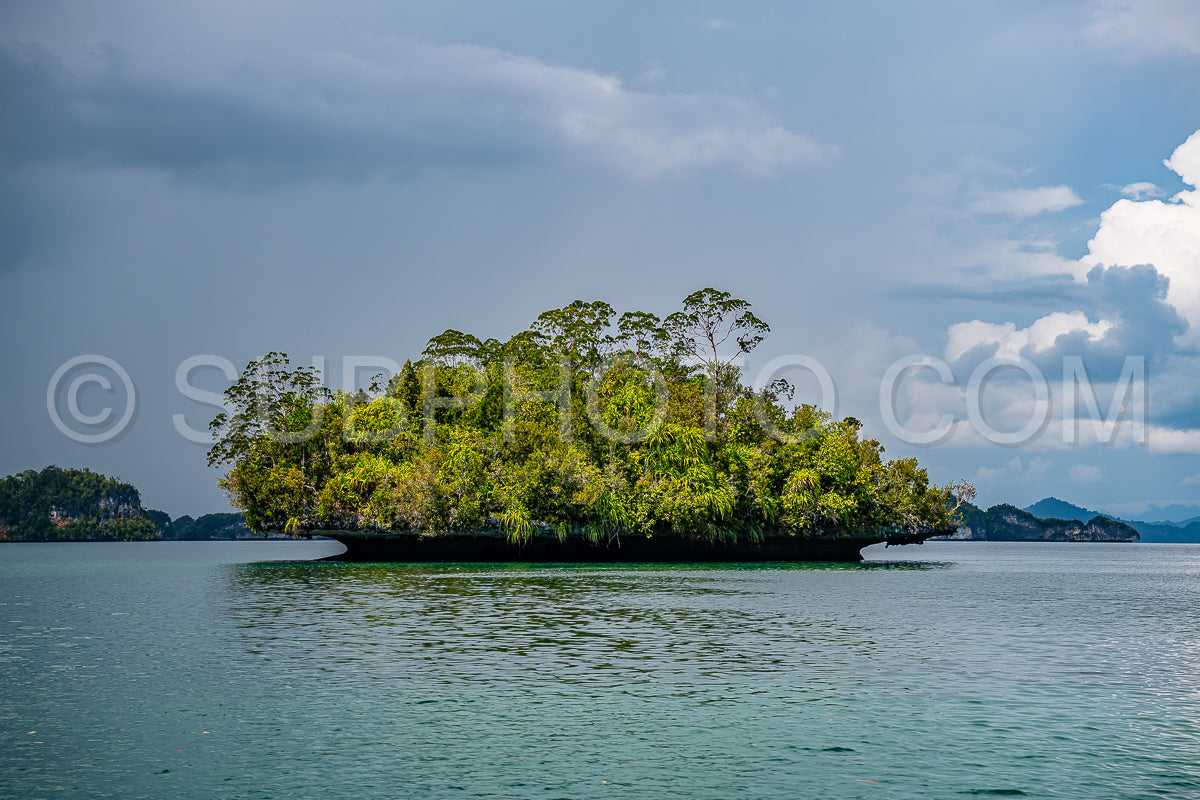 Photo de Waigeo- Kri- Mushroom Island- groupe de petites îles dans un lagon bleu peu profond- Raja Ampat- Papouasie occidentale- Indonésie