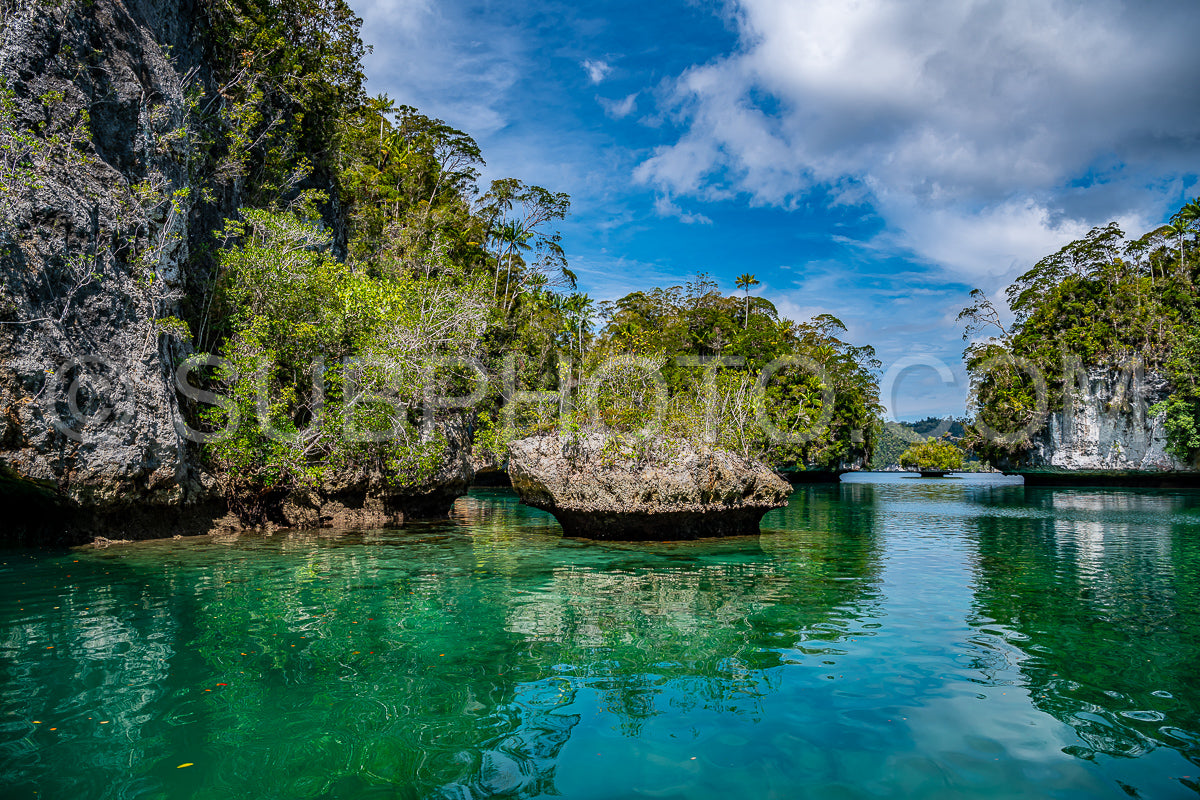 Waigeo- Kri- Mushroom Island- group of small islands in shallow blue lagoon water- Raja Ampat- West Papua- Indonesia