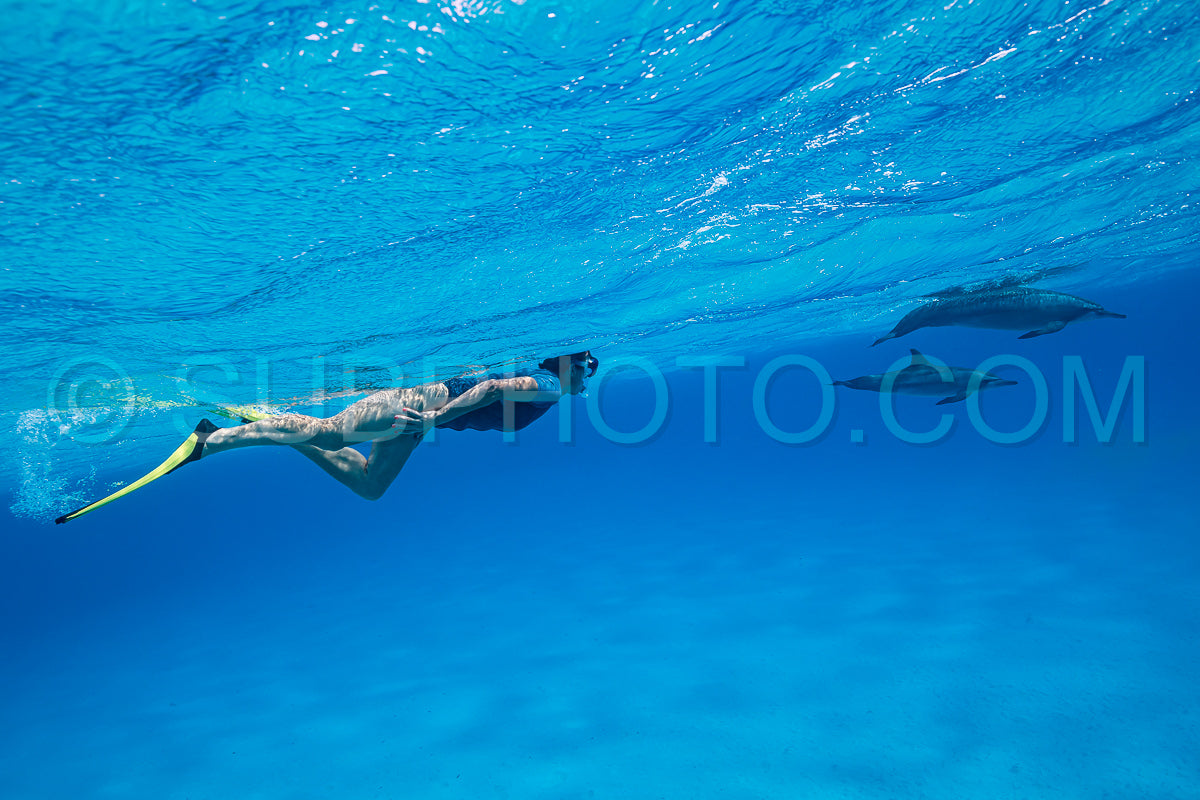 Photo de femme nageant avec un groupe de dauphins à long bec (Stenella longirorstris) sur le sable dans le récif de Sataya - Egypte - Mer Rouge