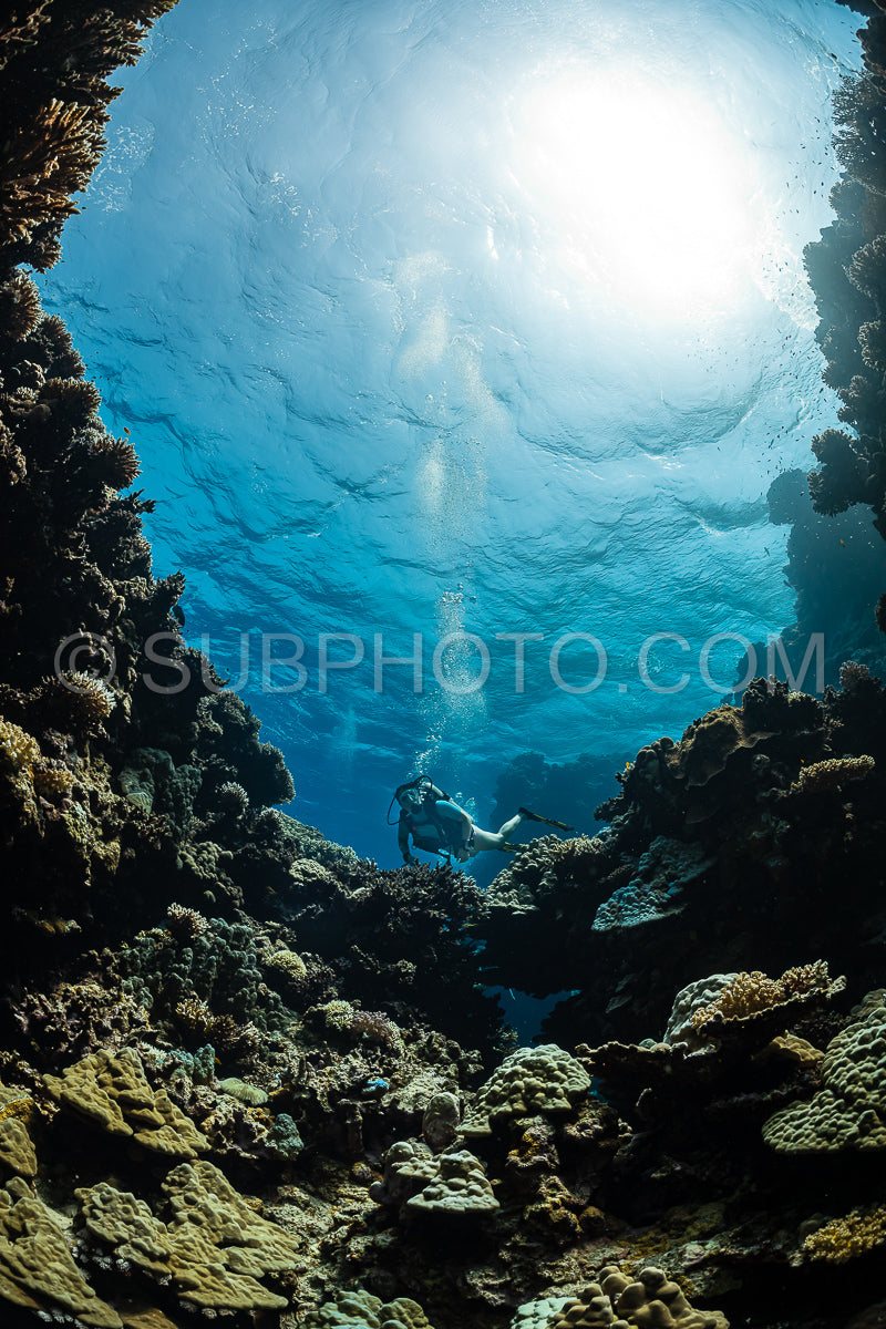 Photo de Femme plongeuse visitant une grotte sous-marine dans la mer rouge - Égypte - Shaab Claude