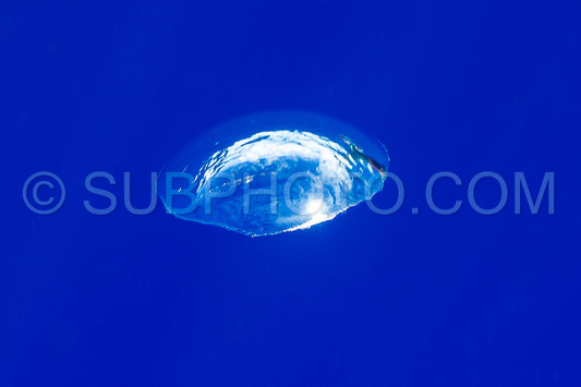 air bubbles underwater rising to water surface in deep blue ocean