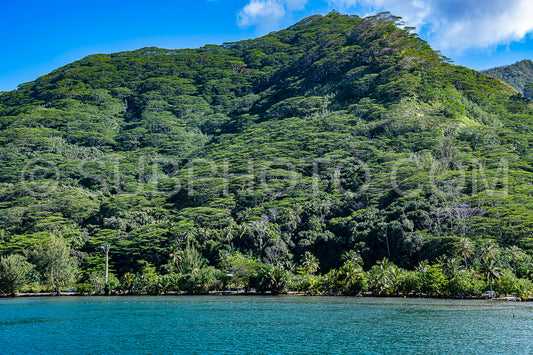 Photo de vue du port de Moorea - Polynésie française