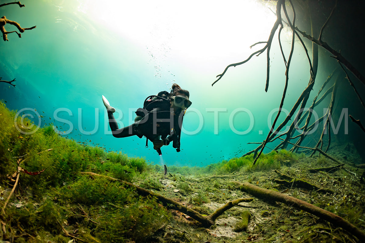 cave diver instructor leading a group of divers in a mexican cenote underwater
